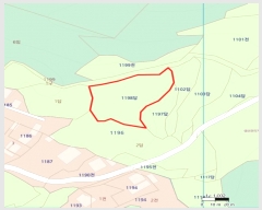  2024Ÿ405736  ֽ ηи õ 1198      ()