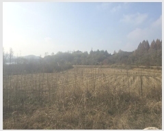  2024Ÿ406050  ֽ ȣ  508-9      ()