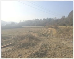  2024Ÿ406050  ֽ ȣ  508-9      ()