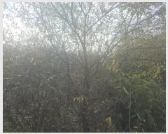  2024Ÿ406050  ֽ ȣ  508-9      ()