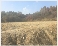  2024Ÿ406050  ֽ ȣ  508-9      ()