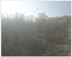  2024Ÿ406050  ֽ ȣ  508-9      ()