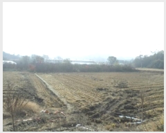  2024Ÿ406050  ֽ ȣ  508-9      ()