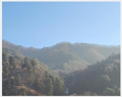  2024Ÿ406098  ֽ Ÿ Ȳи 9      (Ӿ)