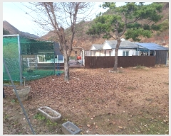  2024Ÿ��406128 ���� Ⱦ���� ��õ�� �ܰ�õ��694���� 182      ���ð��