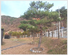  2024Ÿ��406128 ���� Ⱦ���� ��õ�� �ܰ�õ��694���� 182      ���ð��