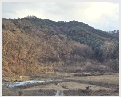  2024Ÿ406371  ֽ ݰ 116-9       (Ӿ)