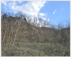  2024Ÿ406371  ֽ ݰ 116-9       (Ӿ)