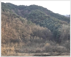  2024Ÿ406371  ֽ ݰ 116-9       (Ӿ)