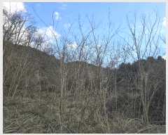  2024Ÿ406371  ֽ ݰ 116-9       (Ӿ)