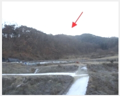  2024Ÿ406371  ֽ ݰ 116-9       (Ӿ)