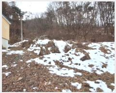  2024Ÿ��406579 ���� ���ֽ� ������ �Ǵ븮 370-5      �ܵ�����,�����ð��