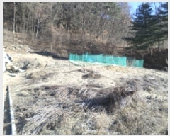  2024Ÿ��406999  �Ӿ߰��