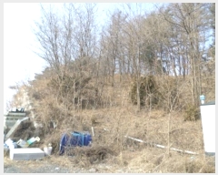  2024Ÿ��407244  �Ӿ߰��