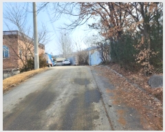  2024Ÿ155  ֽ ȣ  482      ()