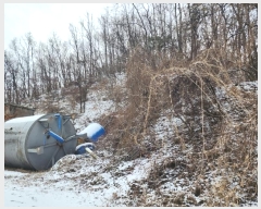  2024Ÿ155  ֽ ȣ  482      ()