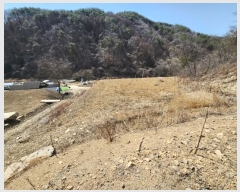  2024Ÿ��490 ���� Ⱦ���� û�ϸ� ������ 413      ����(��1)���