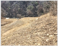  2024Ÿ��490 ���� Ⱦ���� û�ϸ� ������ 413      ����(��1)���