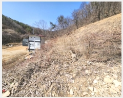  2024Ÿ��490 ���� Ⱦ���� û�ϸ� ������ 413      ����(��1)���