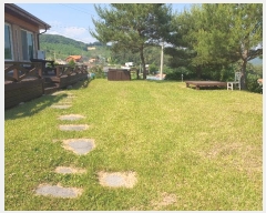  2024Ÿ1585  Ⱦ г й泻 217-7      ð