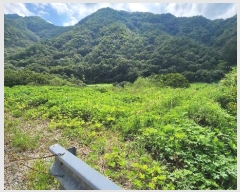  2024Ÿ��2281  �����