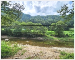  2024Ÿ��2281  �����