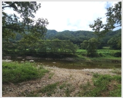  2024Ÿ��2281  �����