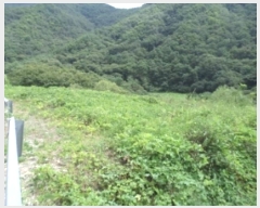  2024Ÿ��2281  �����