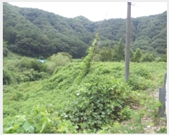  2024Ÿ��2281  �����