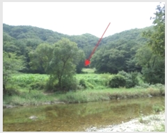  2024Ÿ��2281  �����