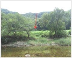  2024Ÿ��2281  �����