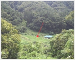  2024Ÿ��2281  �����