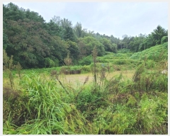  2024Ÿ��2779  �����