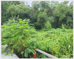  2024Ÿ��2779  �����