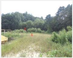  2024Ÿ��2779  �����