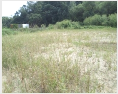  2024Ÿ��2779  �����