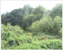  2024Ÿ��2779  �����