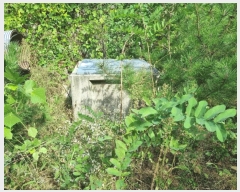  2024Ÿ��2878 ���� ���ֽ� �ͷ��� �ͷ��� 44-8      ����(�Ӿ�)���