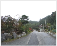  2024Ÿ��2878 ���� ���ֽ� �ͷ��� �ͷ��� 44-8      ����(�Ӿ�)���