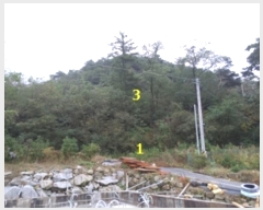  2024Ÿ��2878 ���� ���ֽ� �ͷ��� �ͷ��� 44-8      ����(�Ӿ�)���