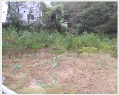  2024Ÿ��2878 ���� ���ֽ� �ͷ��� �ͷ��� 44-8      ����(�Ӿ�)���