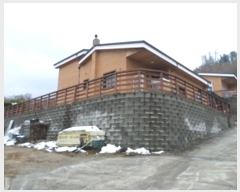  2024Ÿ3239  ֽ ʸ 帮 1152      ð