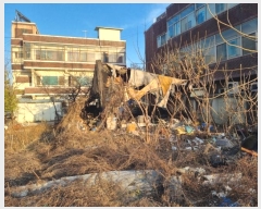  2024Ÿ3260  ֽ ܱ 114-1       ܵ,ð