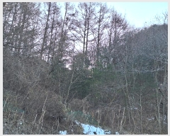  2024Ÿ3376  Ⱦ  ݴ븮 11      (Ӿ)