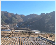  2024Ÿ3376  Ⱦ  ݴ븮 11      (Ӿ)