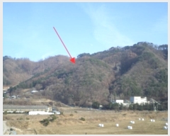  2024Ÿ3376  Ⱦ  ݴ븮 11      (Ӿ)