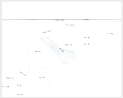  2024Ÿ3376  Ⱦ  ݴ븮 11      (Ӿ)