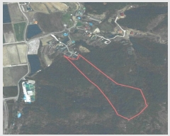  2024Ÿ3376  Ⱦ  ݴ븮 11      (Ӿ)