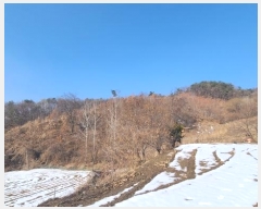  2024Ÿ3444  Ⱦ õ ϴ븮 29      (Ӿ)