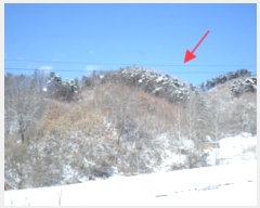  2024Ÿ3444  Ⱦ õ ϴ븮 29      (Ӿ)